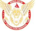 Bravo Delta Protection Service Security Hero Image